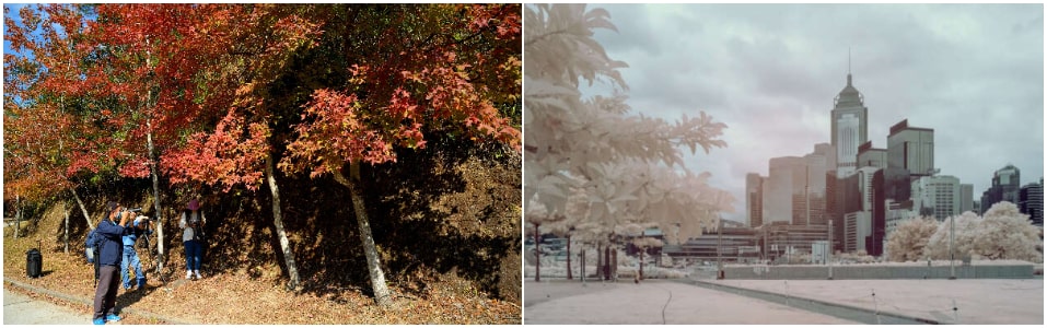 During Autumn And During Winter