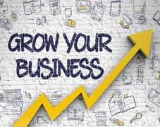 >Grow Your Business through SEO