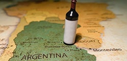 Vinos de América del Sur
