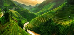 Top 5 Places To Visit In Vietnam For A Memorable Vacation