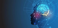 Comprender el Comportamiento Humano: Evolución, Tipos y Naturaleza