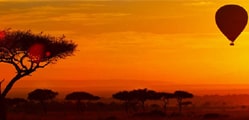 Top 10 Things to do in Kenya: Unleashing the Jewel of Africa 