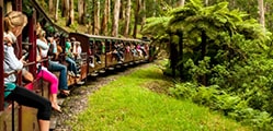 Explore Puffing Billy Railway in Melbourne – TBO Academy