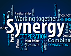 >Art of Creating Synergy