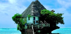 Fun & Unusual Places to Visit in Zanzibar