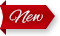 New Courses