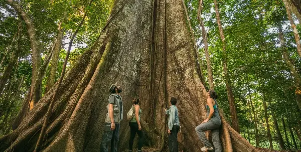 La Amazonía Brasileña Impulsa el Turismo