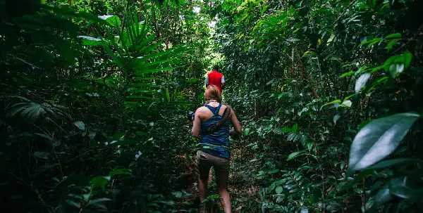 Dominica HikeFest celebra aventura e natureza caribenha