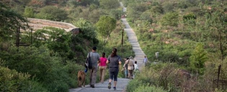 Aravali Biodiversity Park