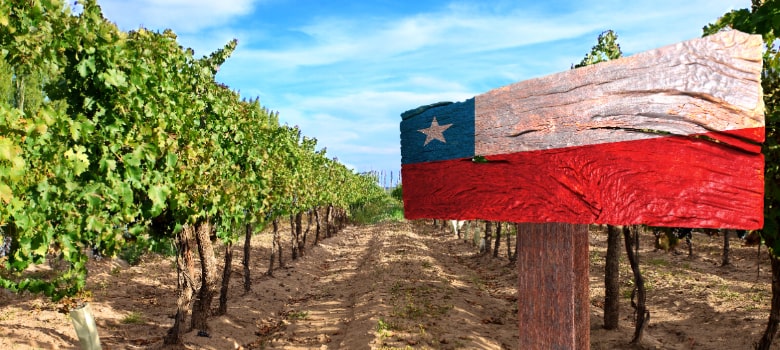 chile-wines