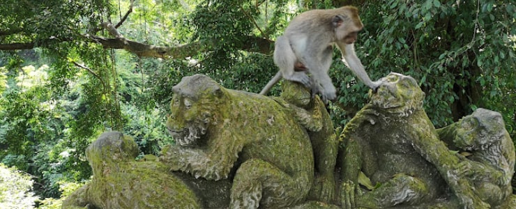 Ubud-Monkey-Forest