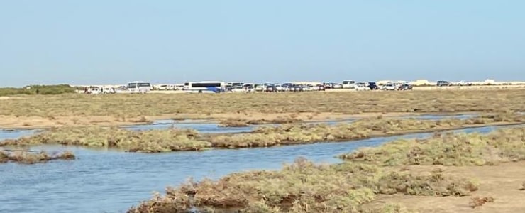 Al Thakira Nature Reserve Visitors Center