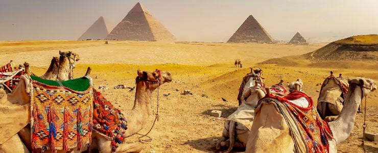 Trip to the Pyramids of Giza