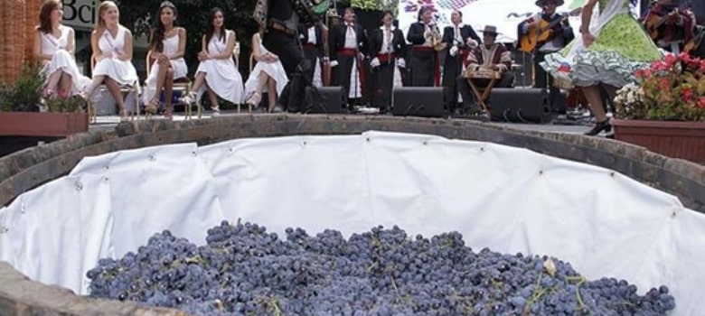 wine-festival-chile