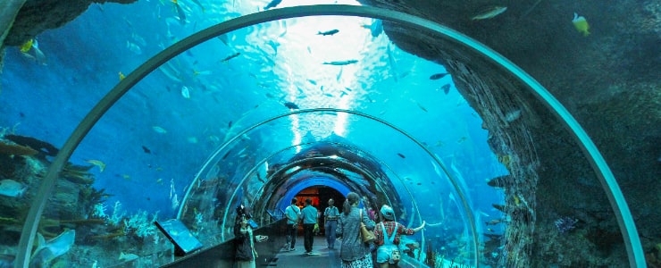 s.e.a aquarium in singapore-min