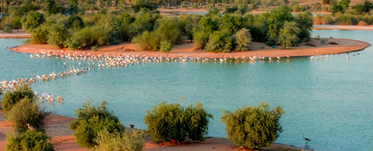 Al Qudra Lakes