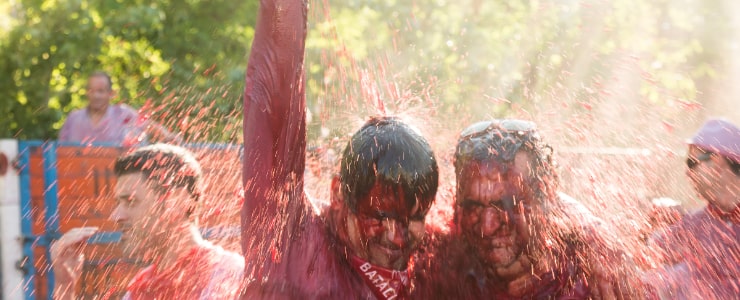  Batalla Del Vino