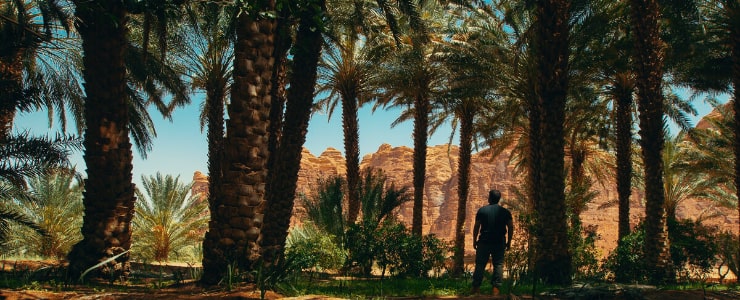 Relax near AlUla Oasis