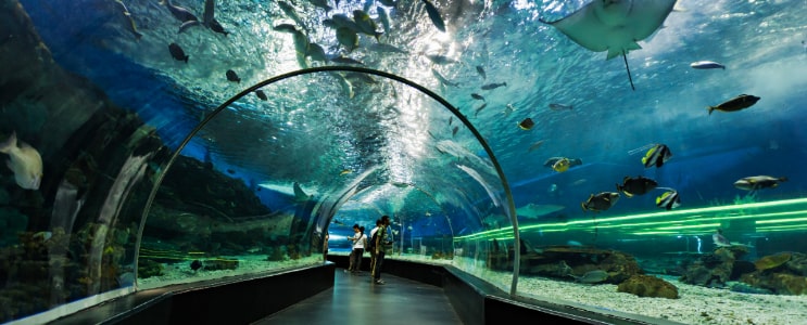 Aquarium tunnel-min
