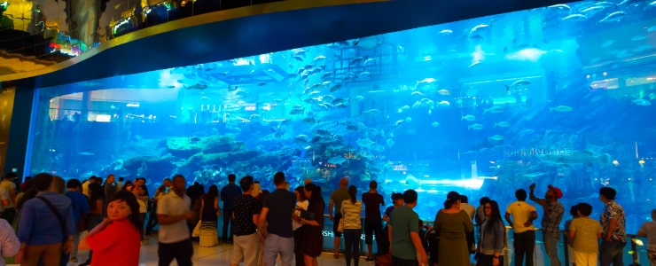 Underwater Museum Dubai