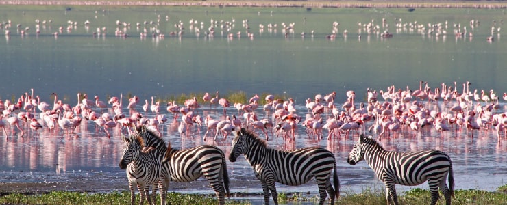 Ngorongoro Crater