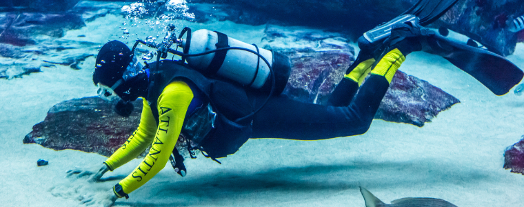 Scuba Diving in Dubai Aquarium