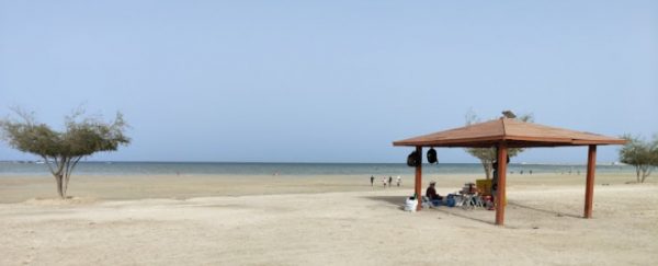 Top 8 Beaches in Qatar, from Private Resorts to Family-Friendly Public ...