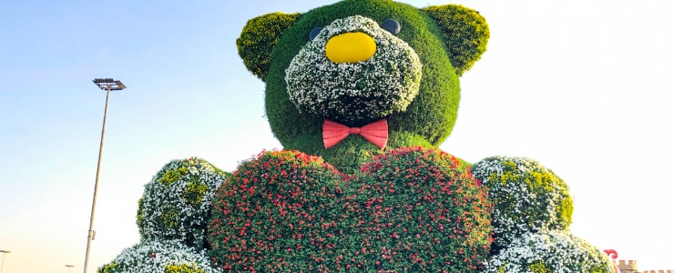 Teddy Bear in Miracle Garden