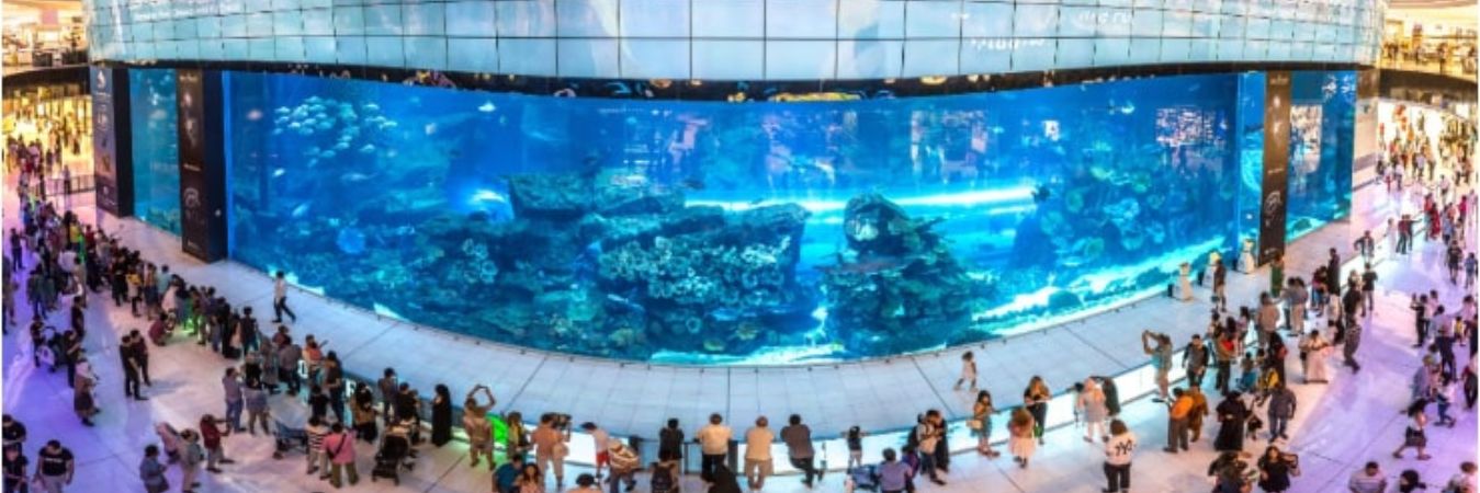 Dubai Aquarium And Underwater Zoo A Perfect Family Outing dubai-aquarium-and-underwater-zoo-a-perfect-family-outing