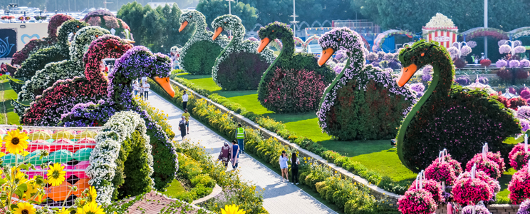 Dubai Miracle Garden