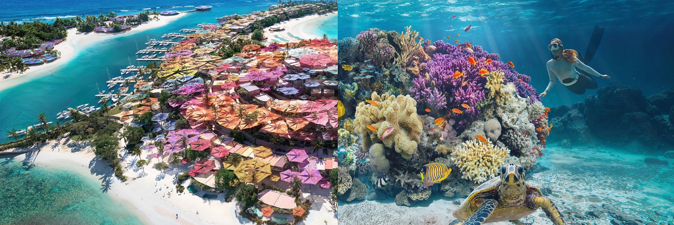 Things to do in Saudi Red Sea: Why It Should Be Your Next Travel Choice? 
