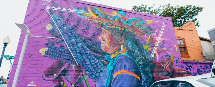 Alma Indigena