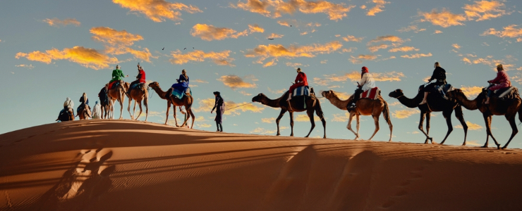 Camel tracking in the Agafa Desert