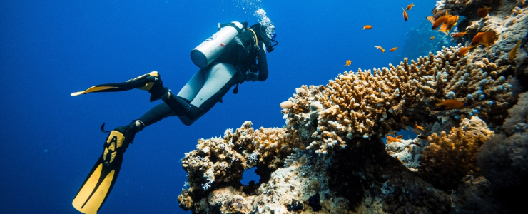 cuba Diving in Al Hoceima