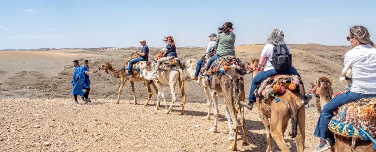 Camel Trekking in the Agafay Desert