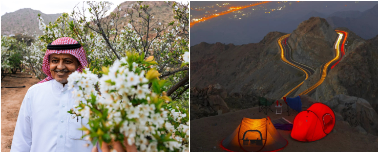 Taif