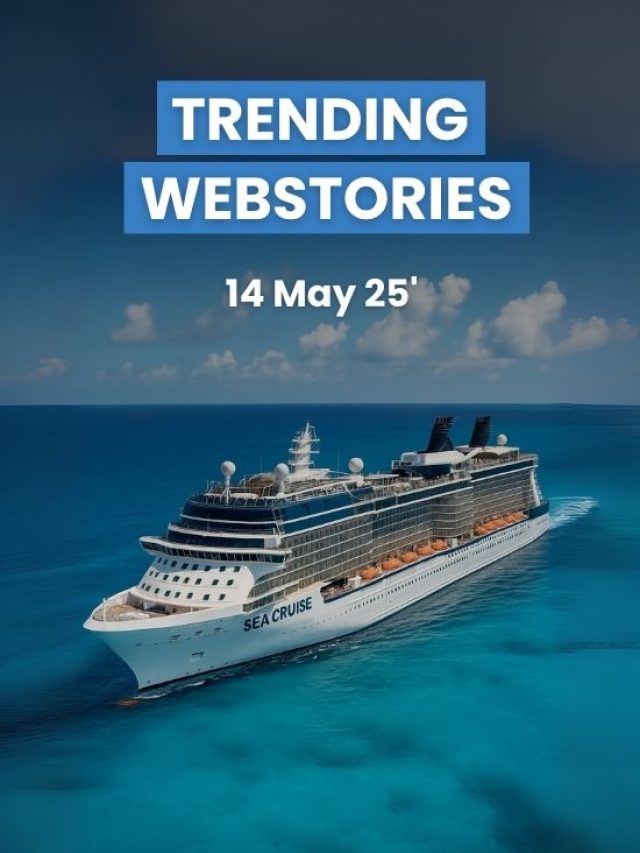 Daily Trending Updates