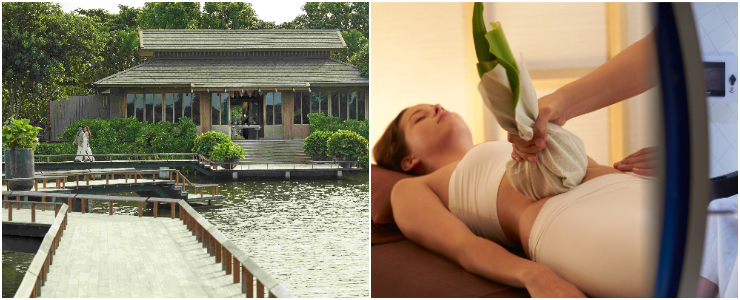 RAKXa Wellness