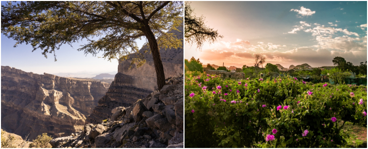 Jebel Shams & Jebel Akhdar
