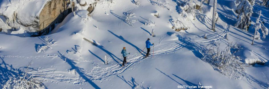 Germany’s Culture & Adventure Trail: Berlin → Munich → Zugspitze → Munich 