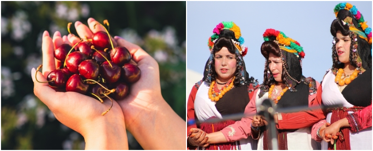 Moussem of cherries