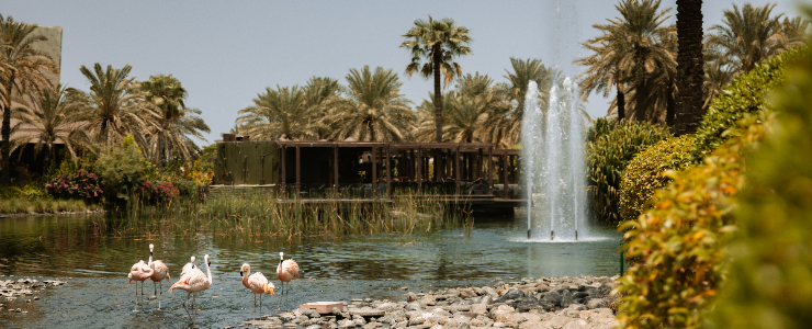 Al Areen Wildlife Park & Res