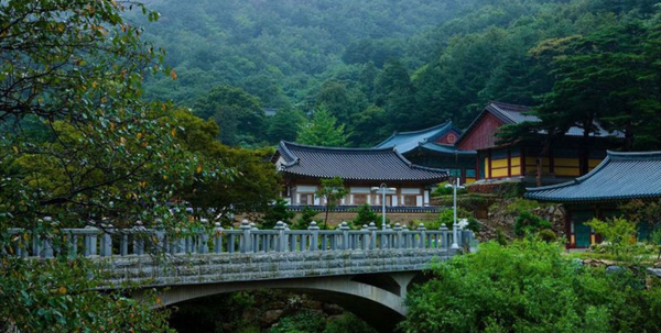 Yesan County sunrise event tourism 2026