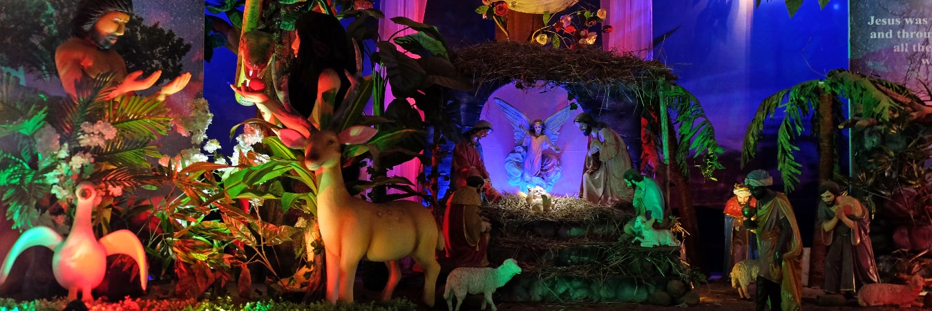 Christmas in Goa: Why It Tops Festive Travel Plans Every Year 