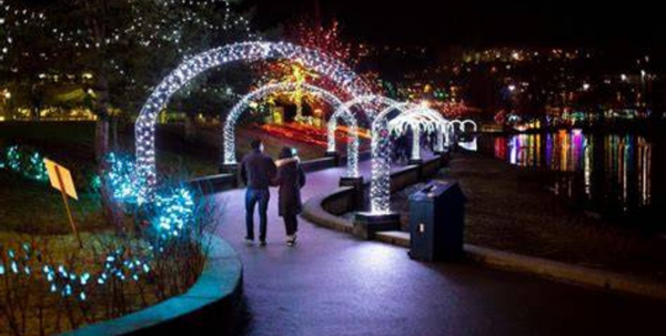Lights at Lafarge Coquitlam New Year