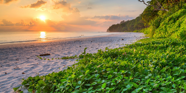 India island tourism