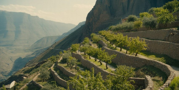 Dagestan cliffside orchards