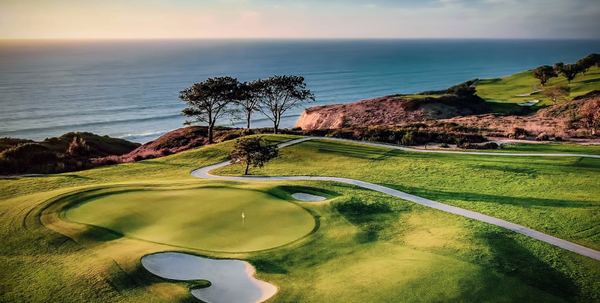 2026 PGA Tournament