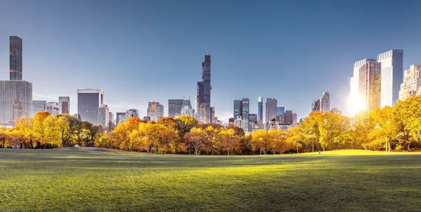 Central Park New York