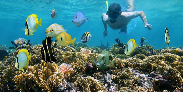 Australia tourism
